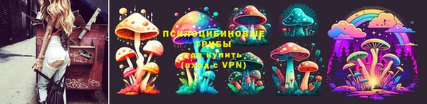 соль ск Абинск
