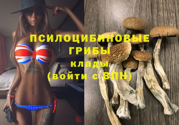 соль ск Абинск